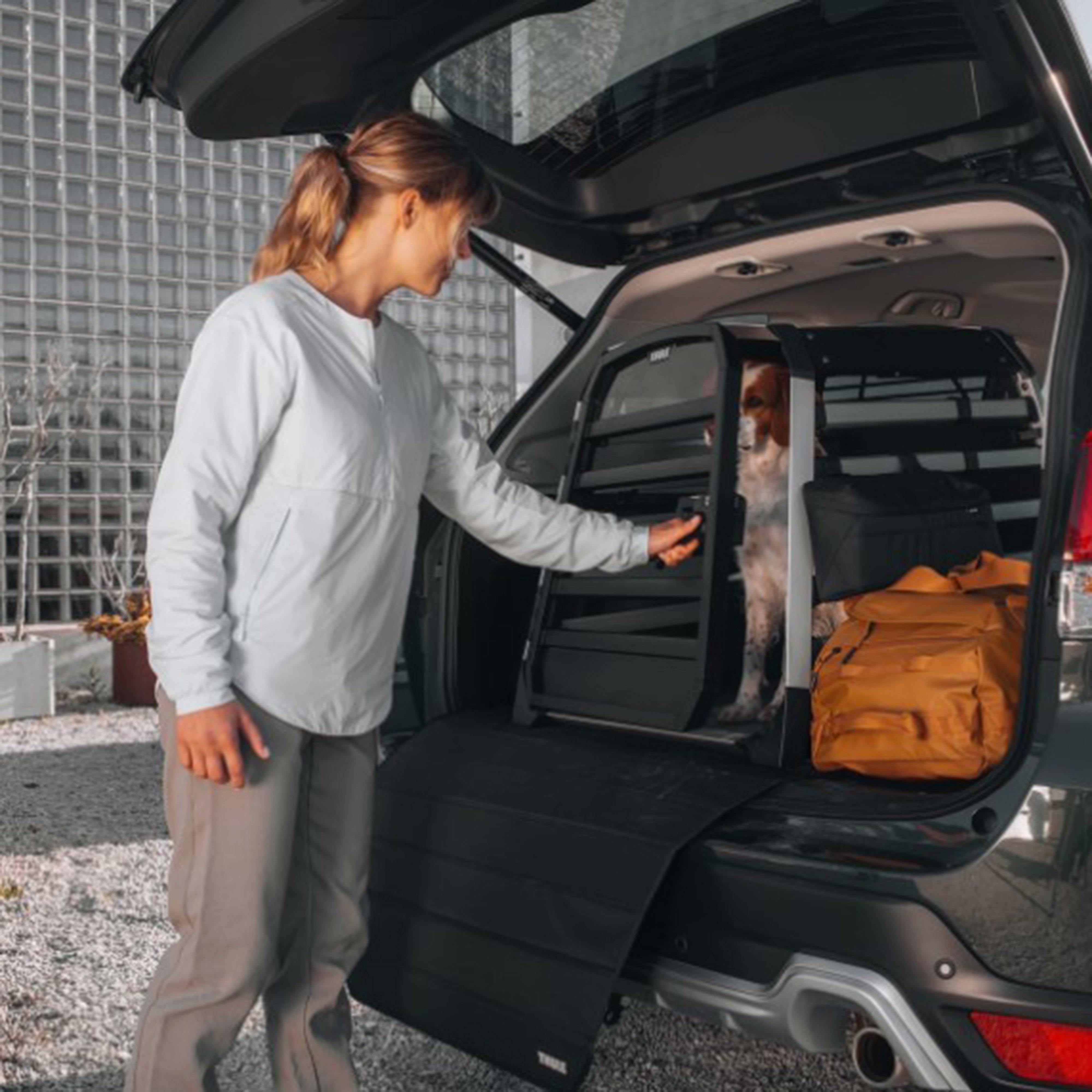 Allax Car Dog Crate Black L