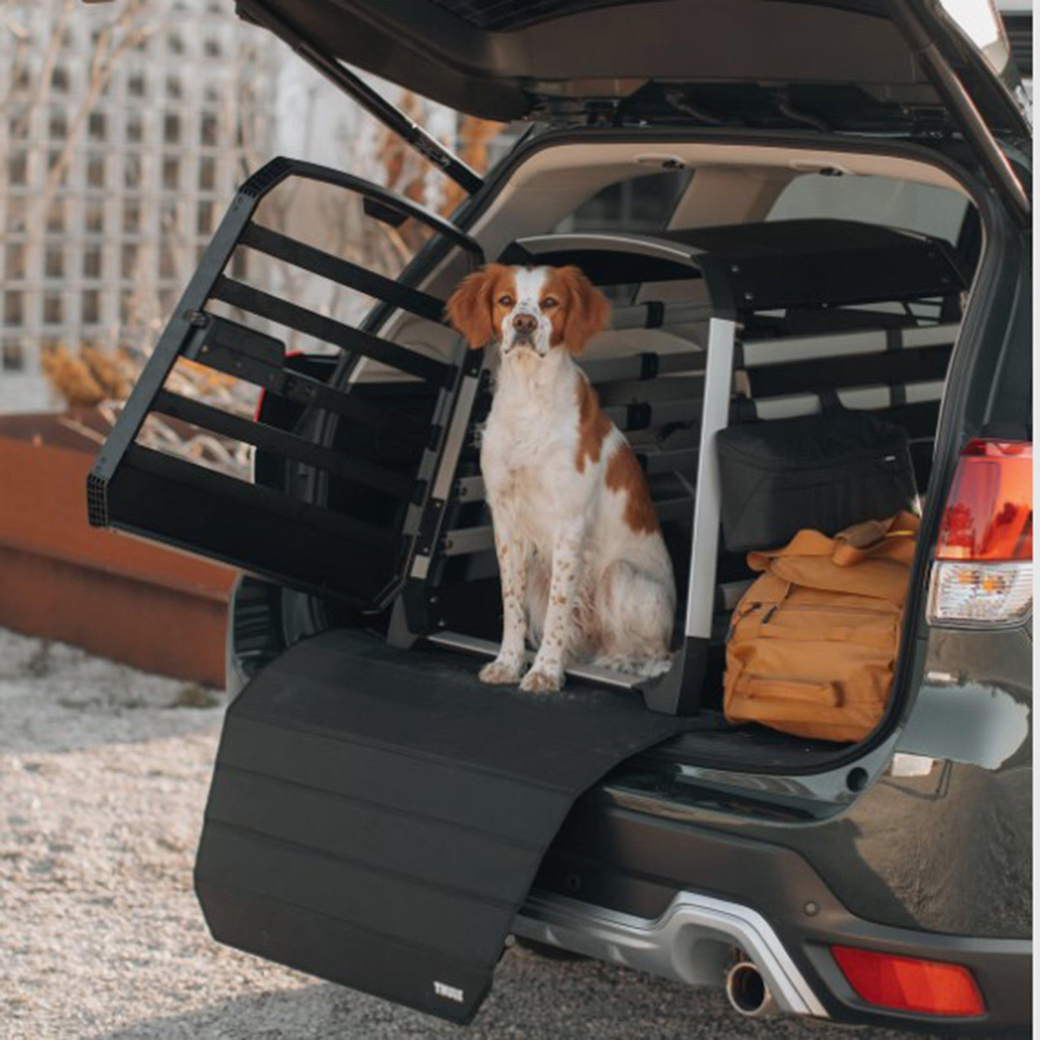 Allax Car Dog Crate Black XL