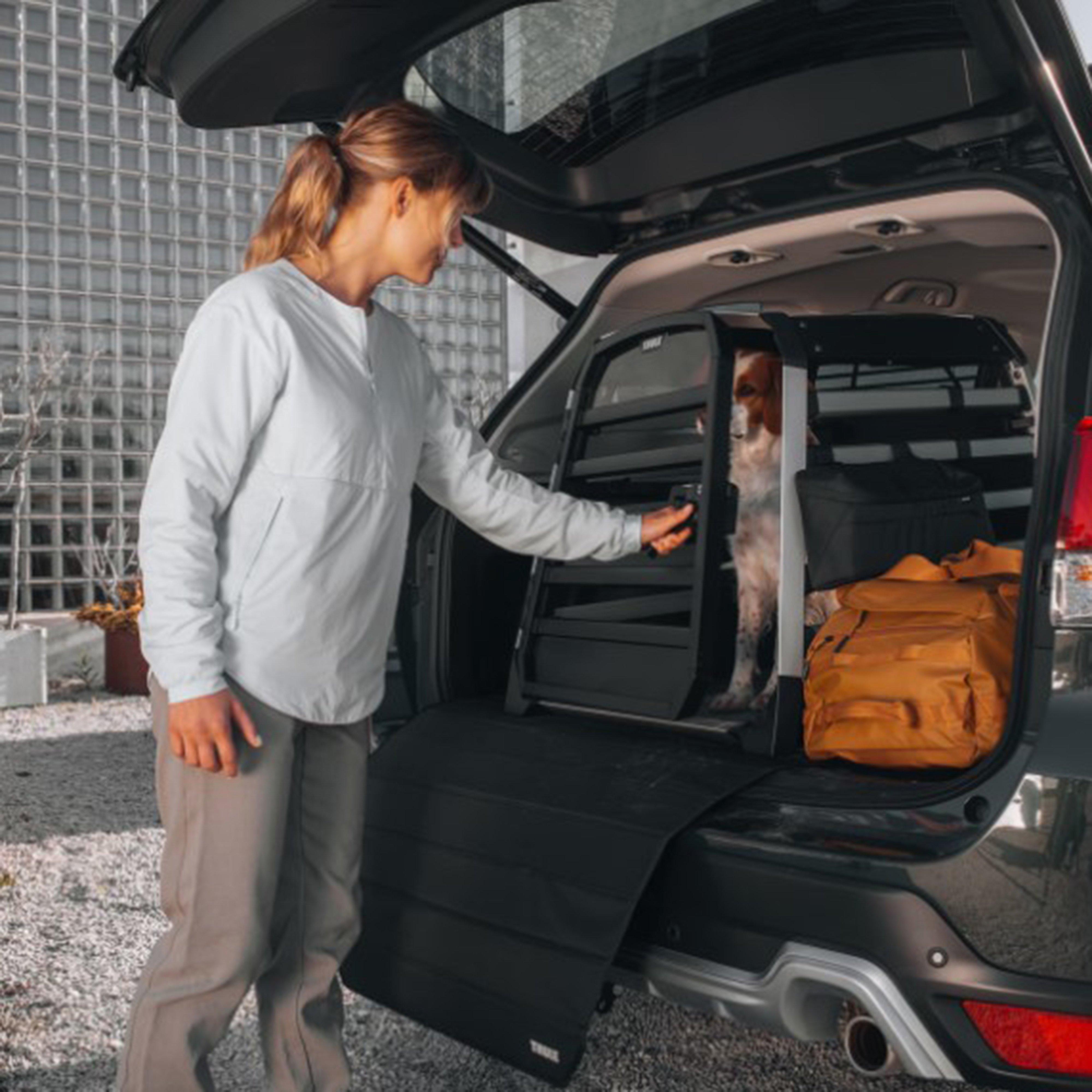 Allax XXL Compact Dog Crate