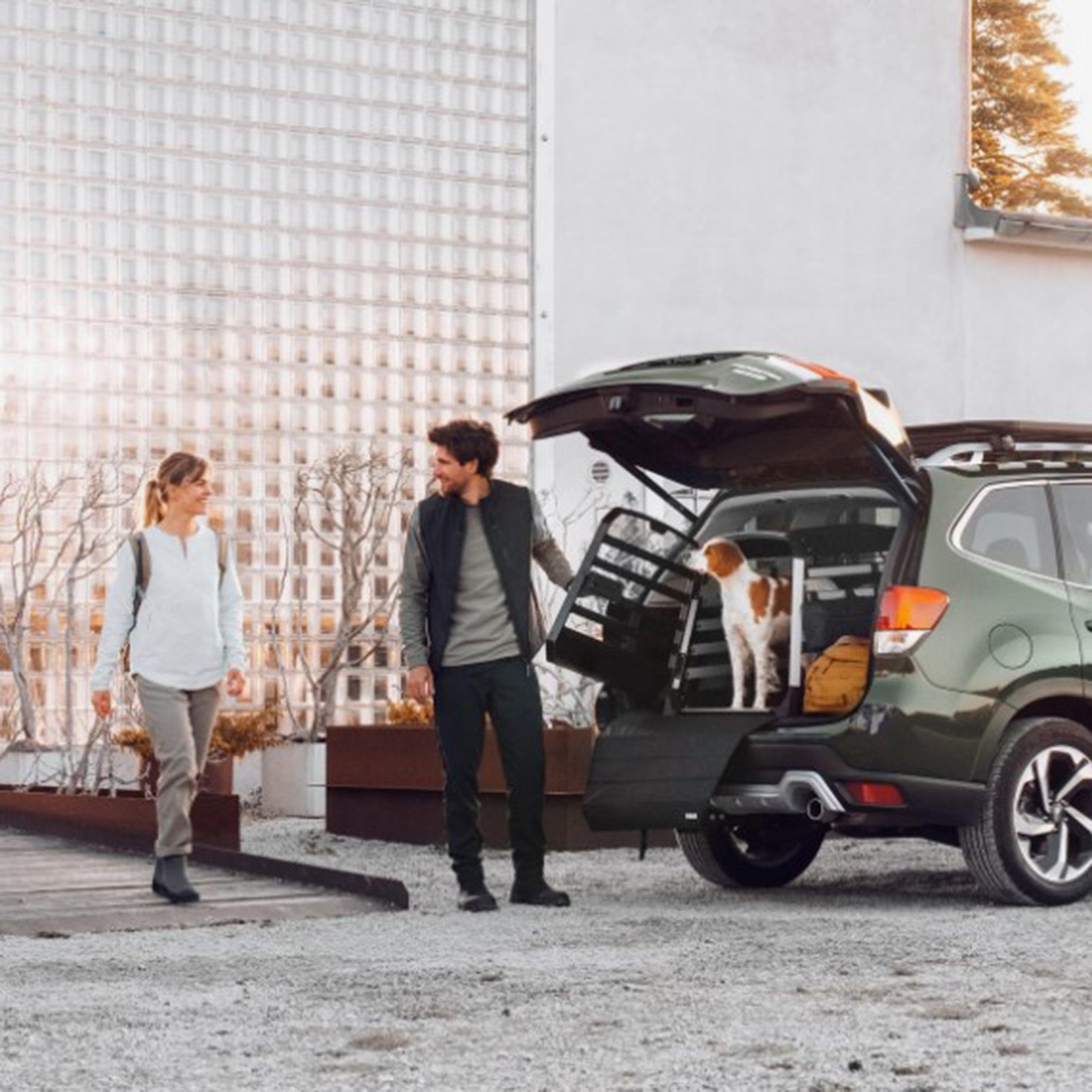 Bumper Protector Black Standard