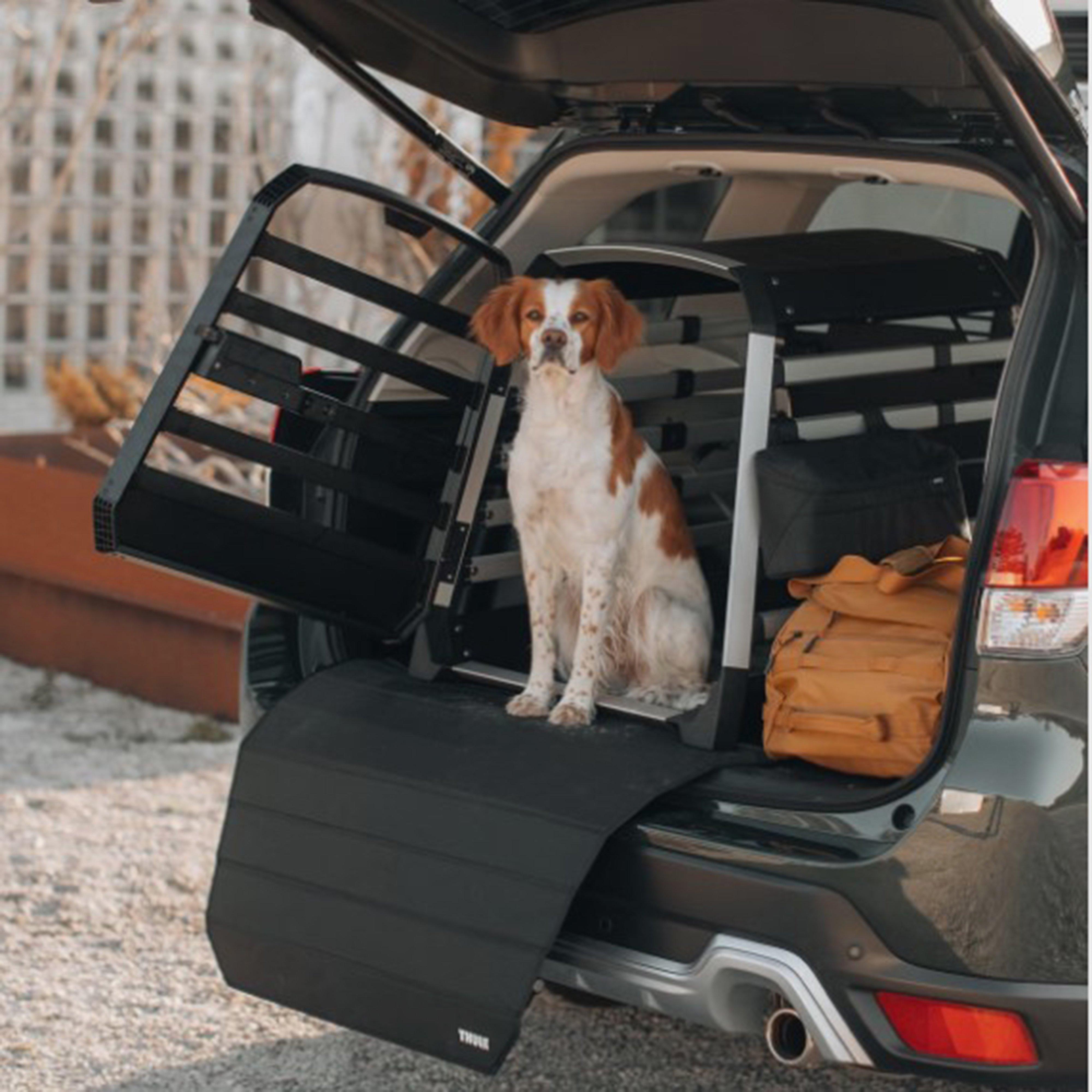 Bumper Protector Black Wide