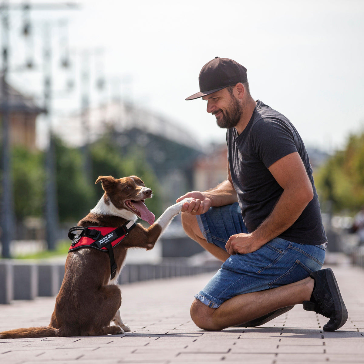 IDC Powerharness Red Size 0