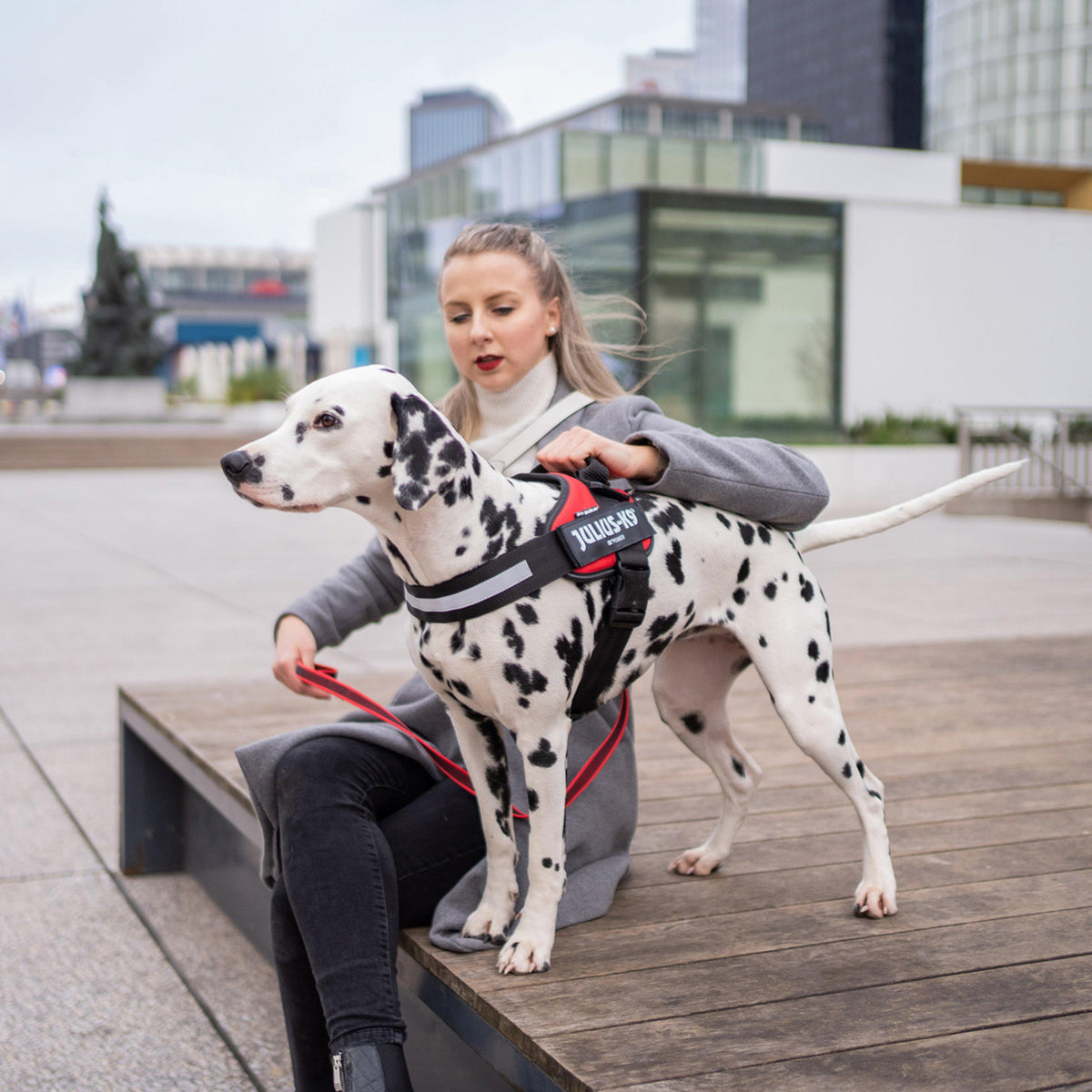 IDC Powerharness Red Size 0