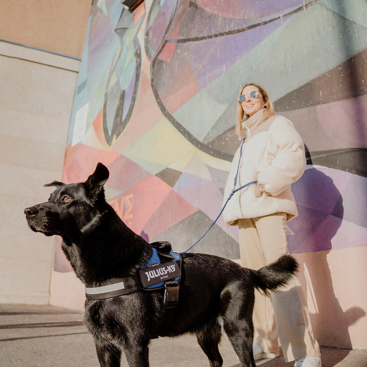 IDC Powerharness Blue Size 0