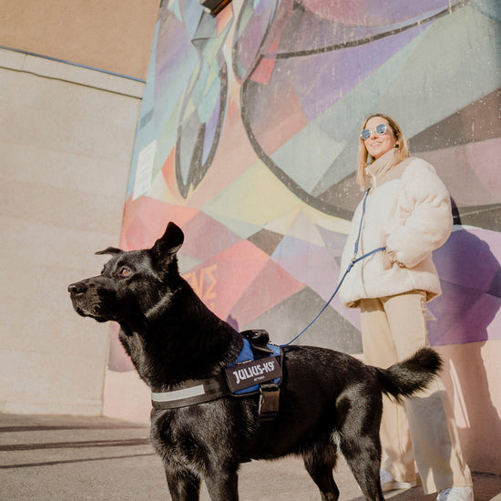 IDC Powerharness Blue Size 1