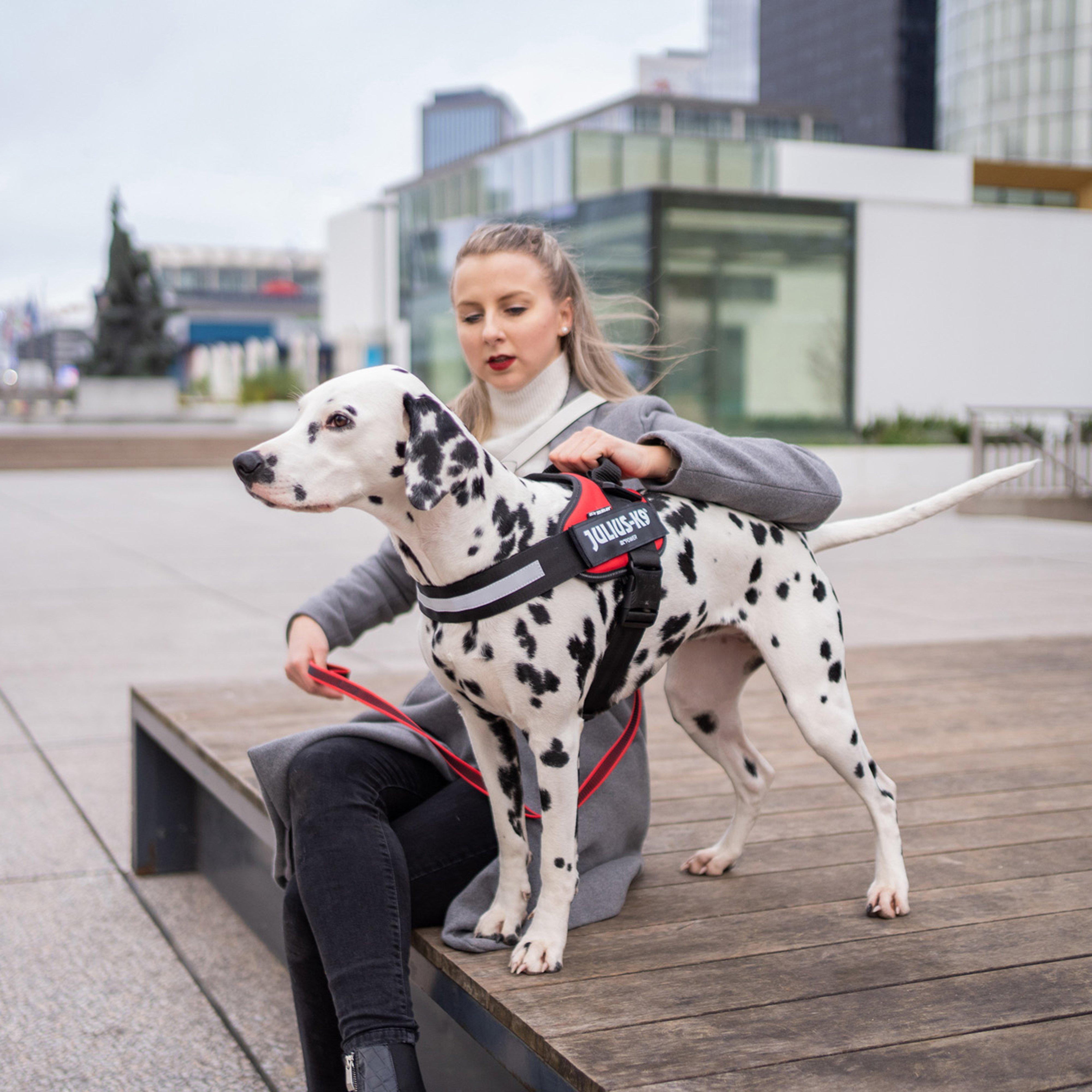 IDC Powerharness Red Size 2