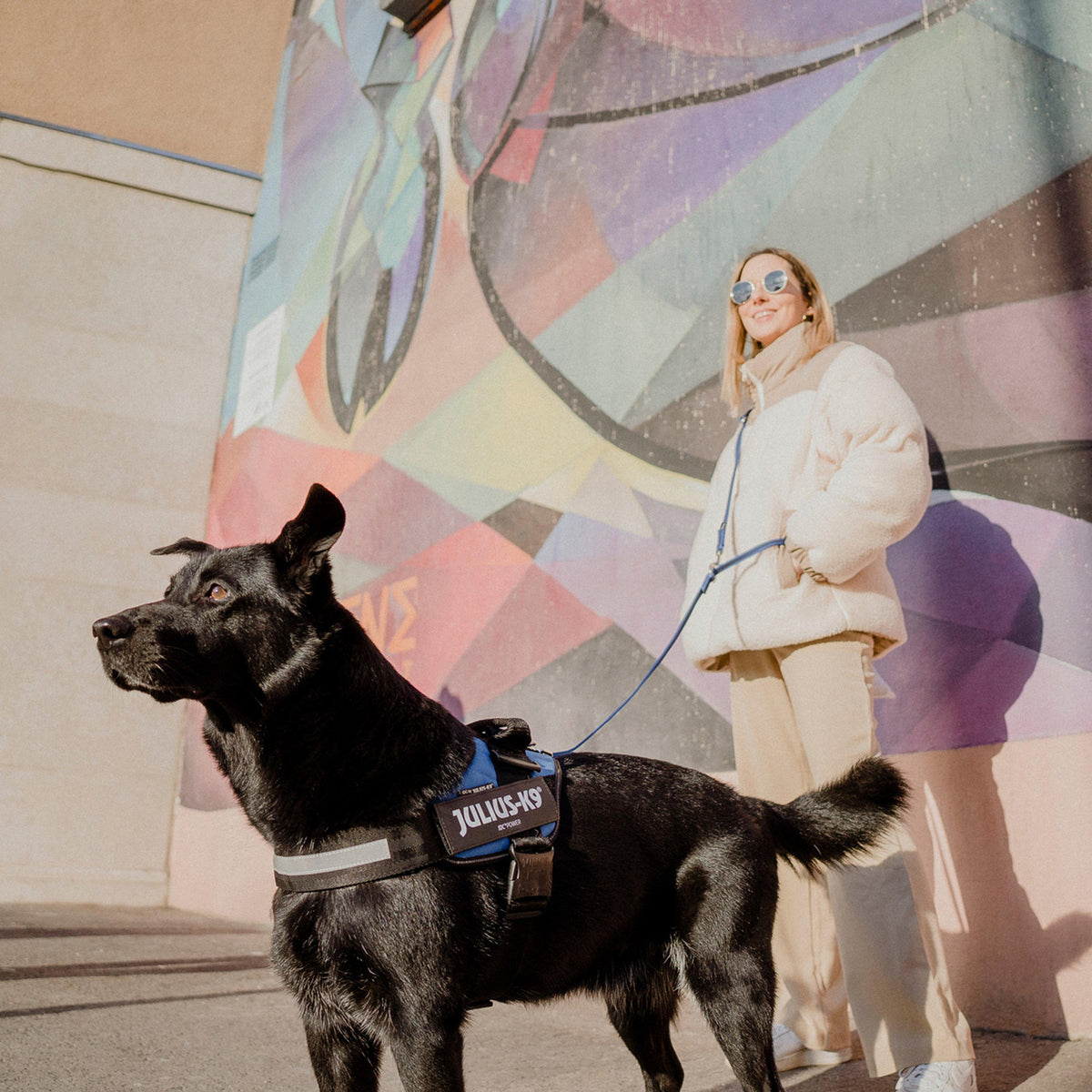 IDC Powerharness Blue Size 2