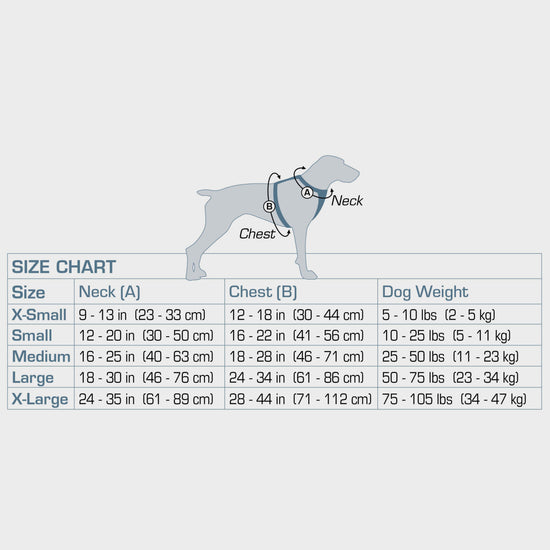 Enhanced Strength Tru-Fit Dog Car Harness Blue