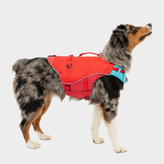 Surf N Turf Dog Life Jacket Red