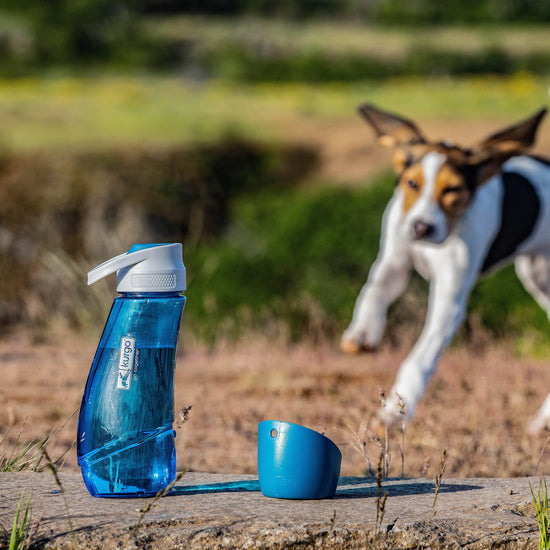 Gourd Water Bottle & Bowl Blue