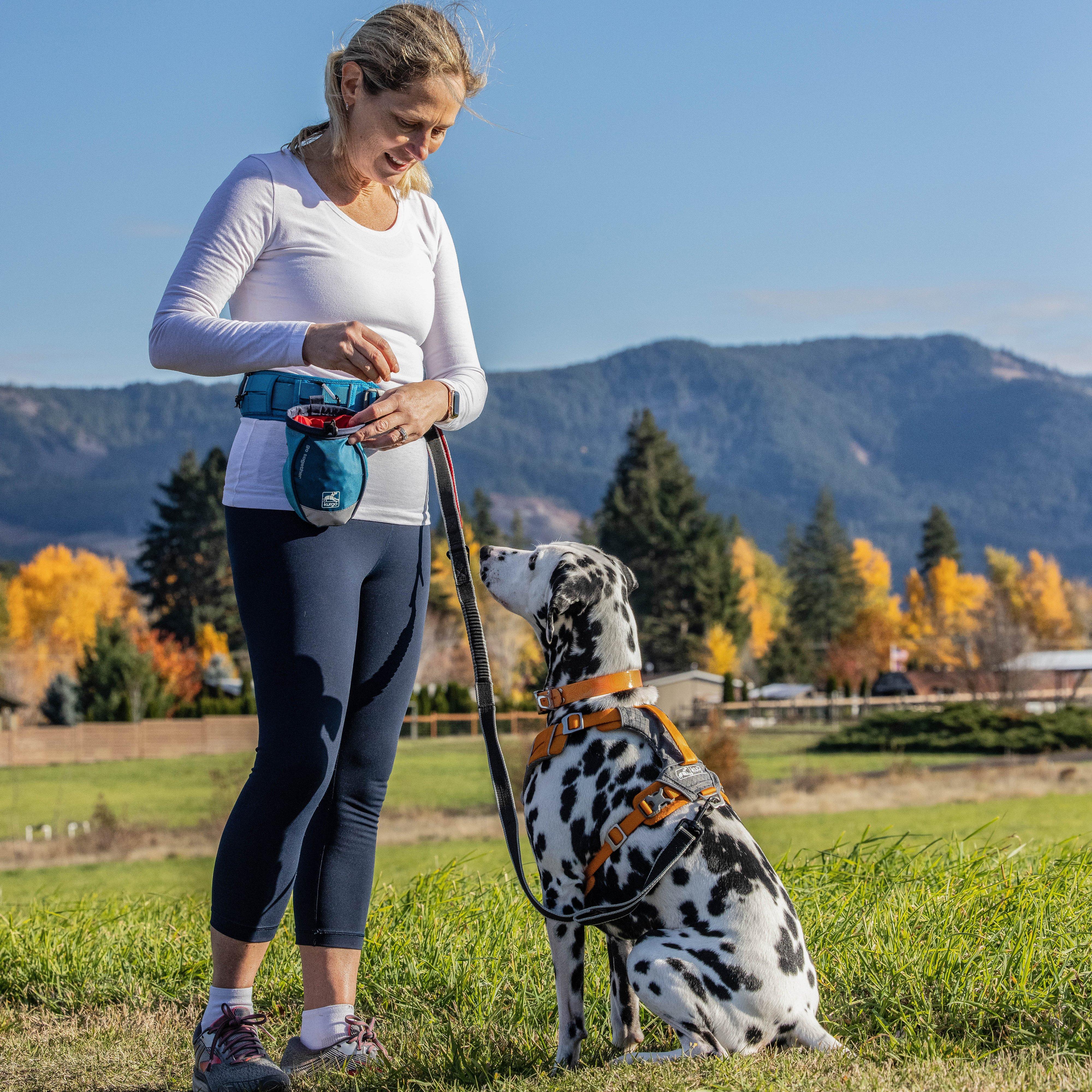 Go Stuff It Treat Bag Blue