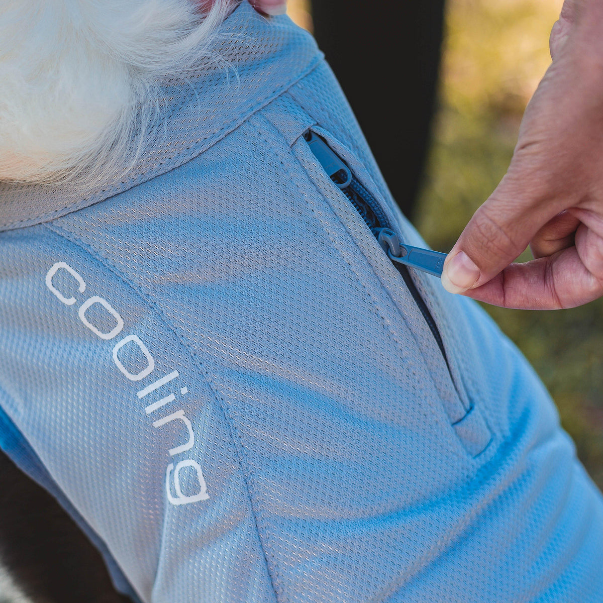 Dog Core Cooling Vest Blue
