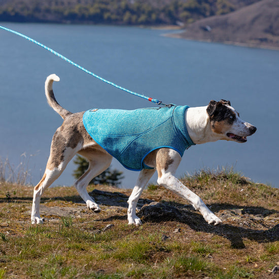 Core Sweater Heather Blue