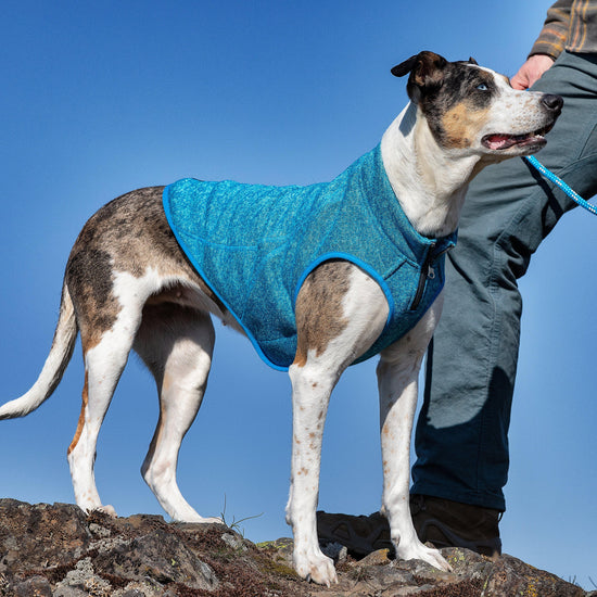 Core Sweater Heather Blue