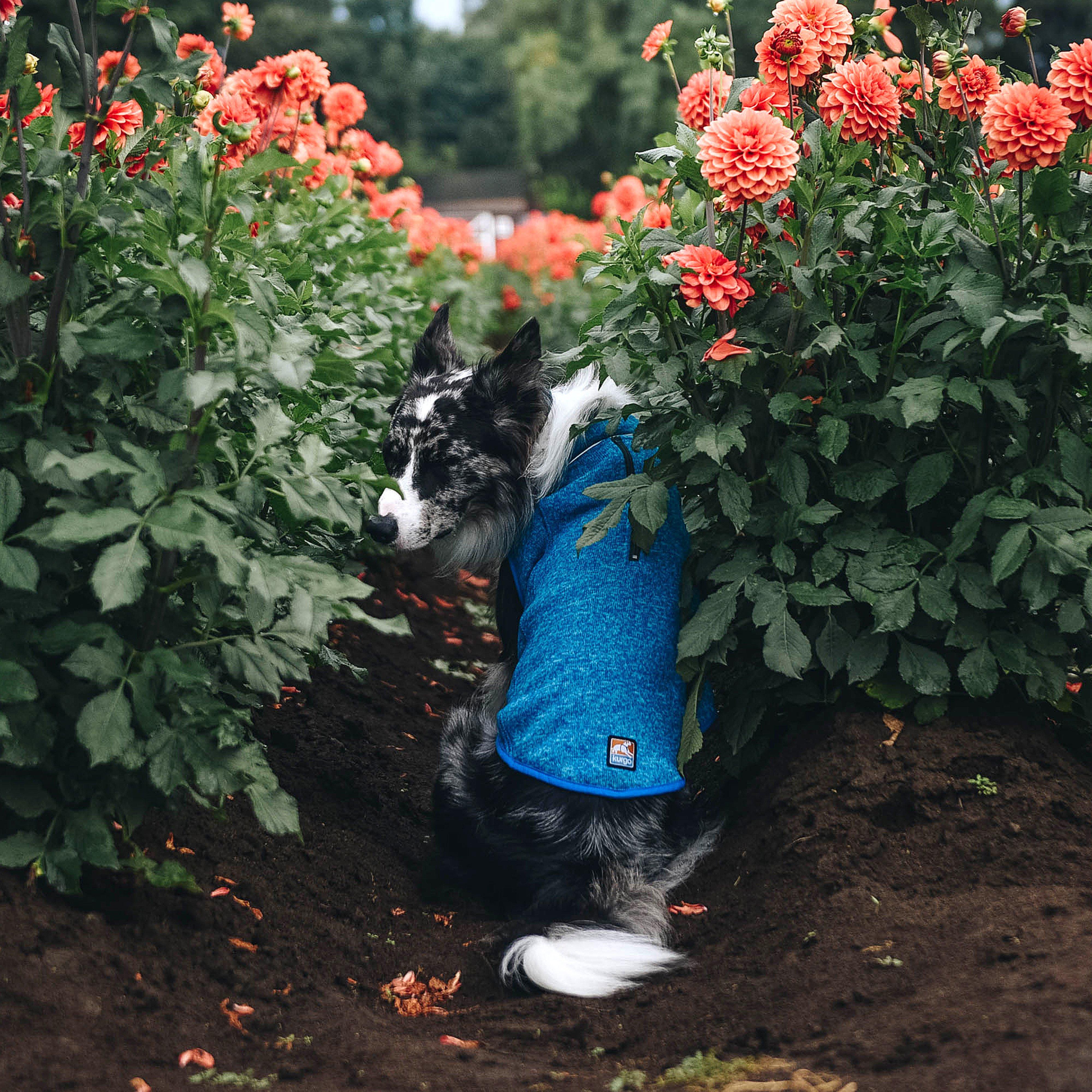 Core Sweater Heather Blue