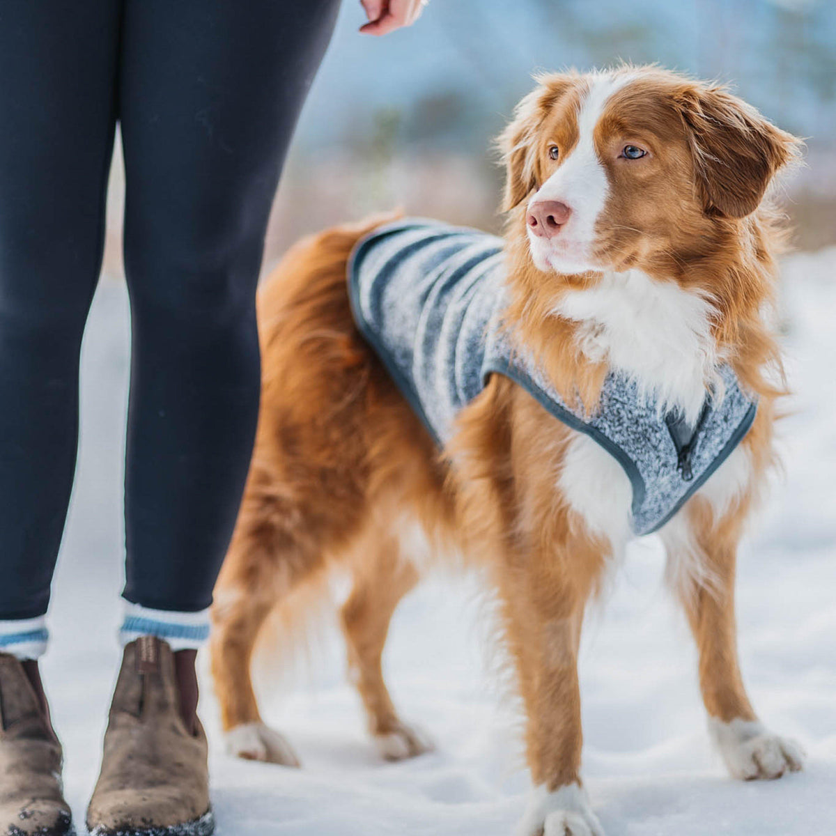Core Sweater Heather Black