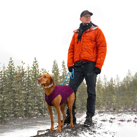 Core Sweater Heather Violet