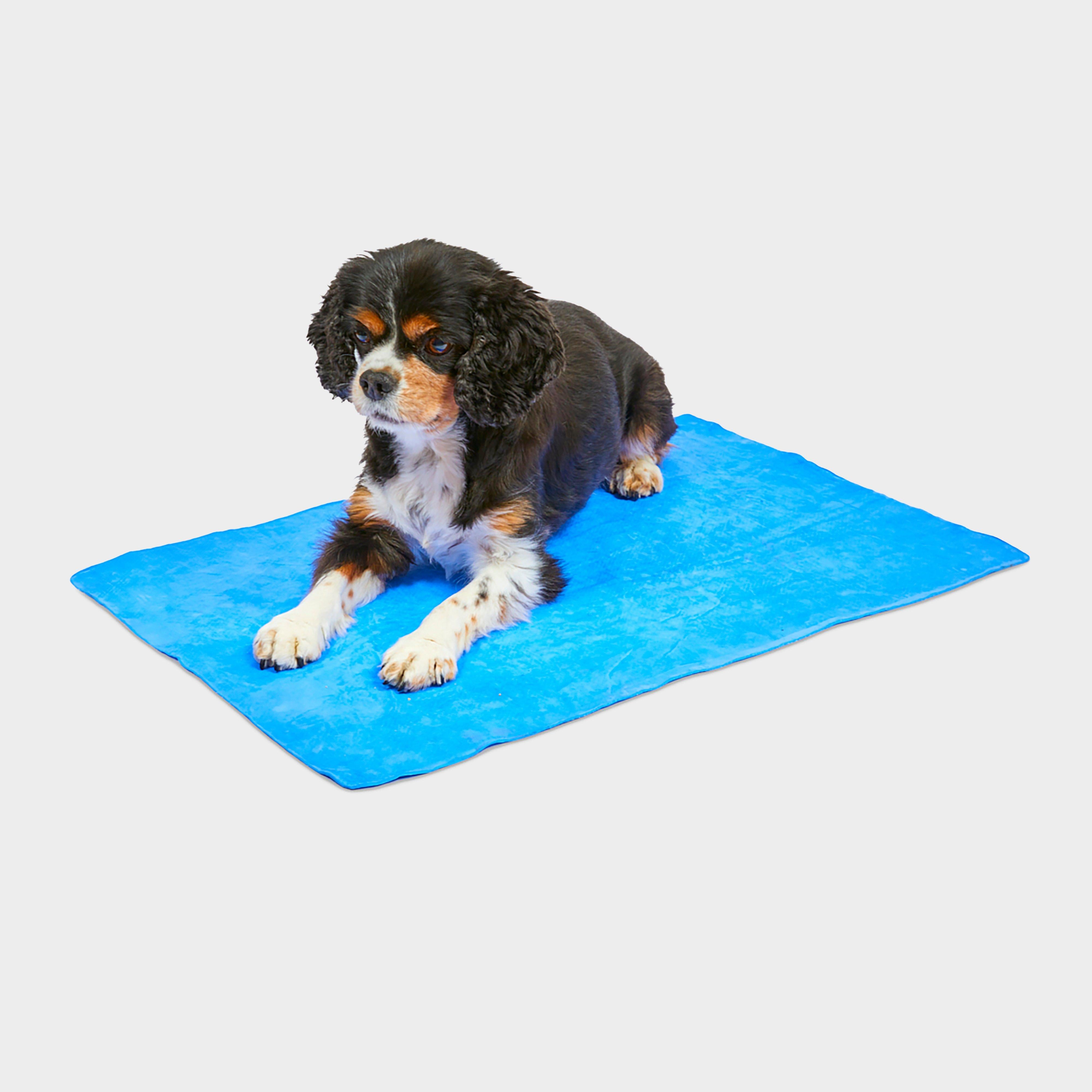 Cooling Pet Towel