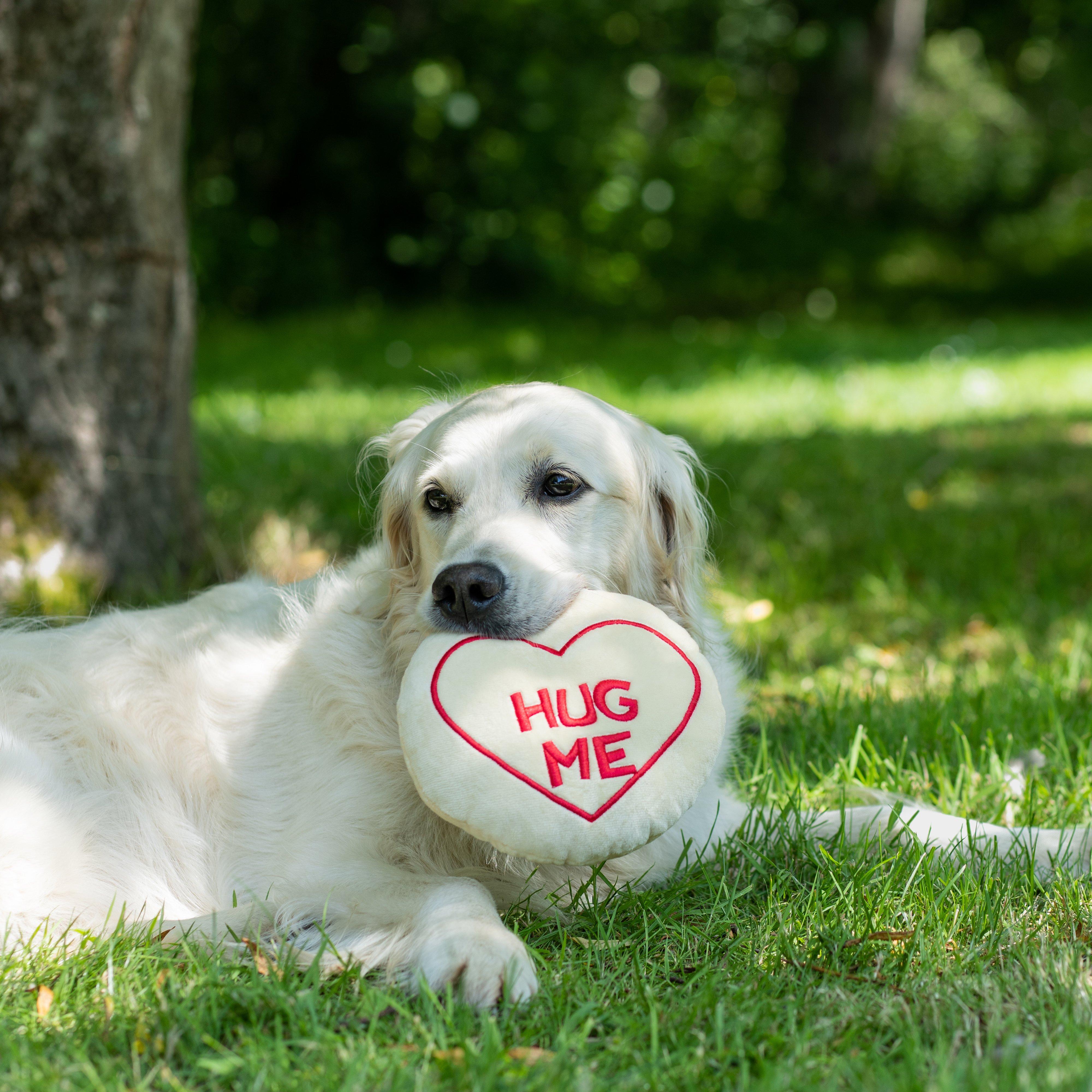 Hug Me Plush Dog Toy