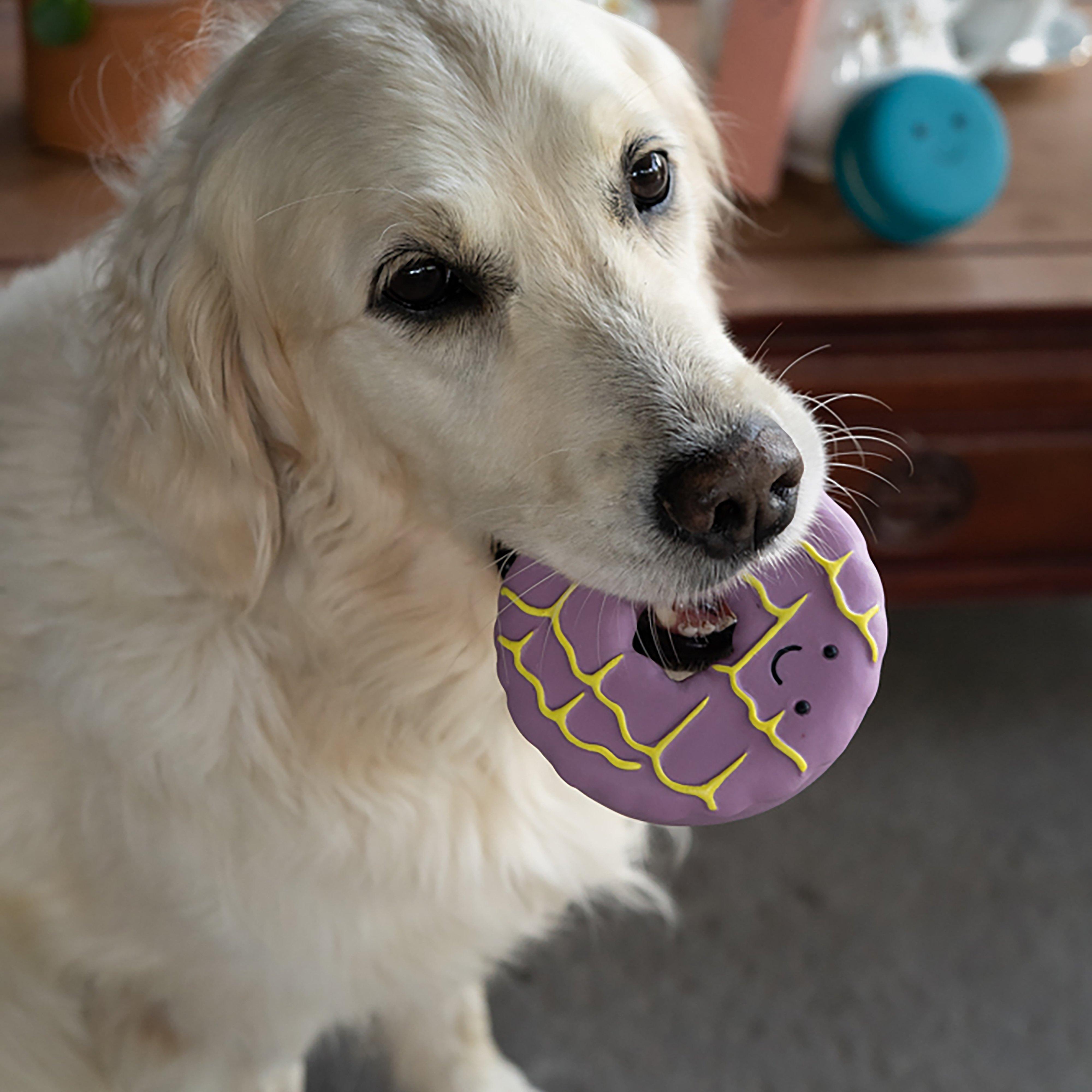 Iced Ring Biscuit Latex Dog Toy