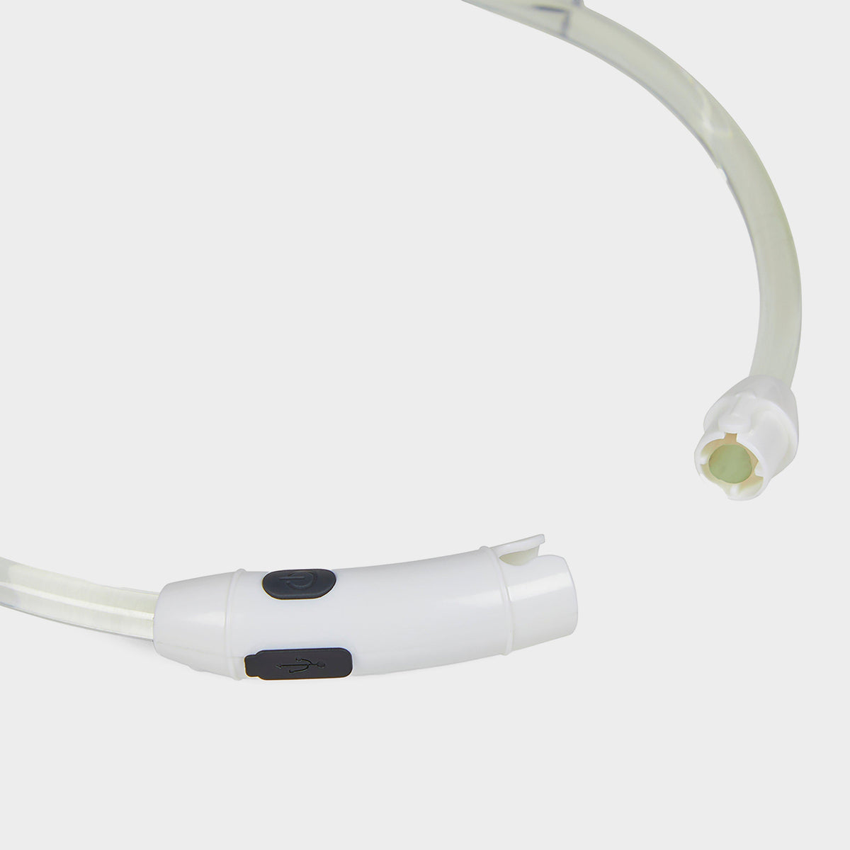 Outdoor Paws USB Rechargeable LED Ring Dog Collar