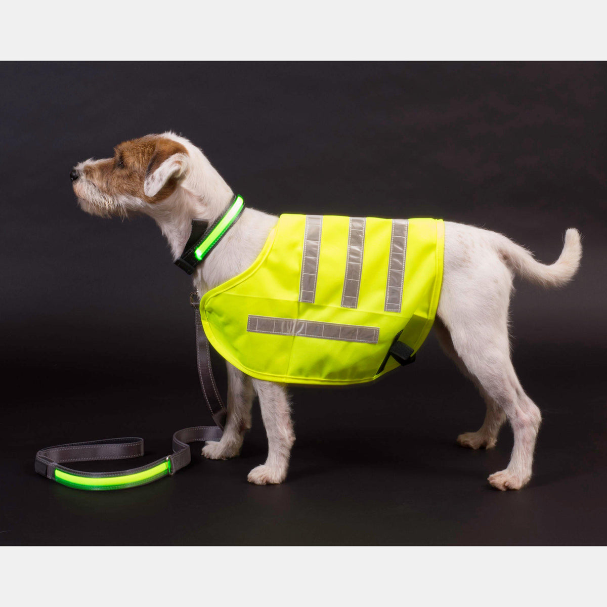 Reflective Flashing Dog Collar Yellow S