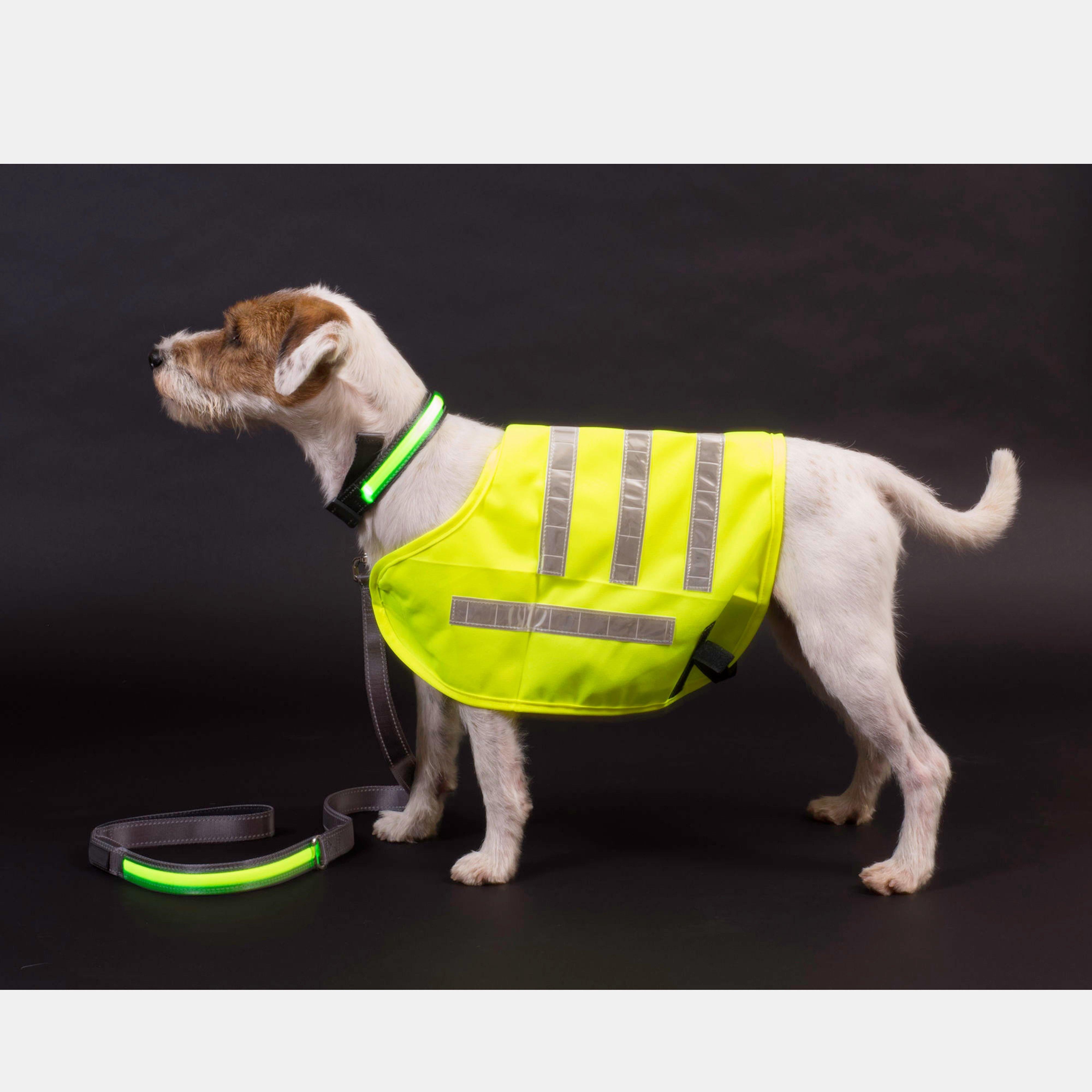 Reflective Flashing Dog Collar Yellow L