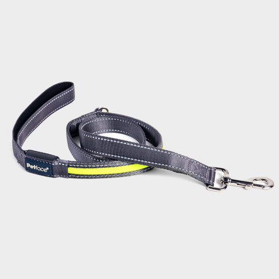 Reflective Flashing Dog Lead Yellow