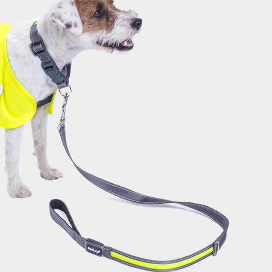 Reflective Flashing Dog Lead Yellow