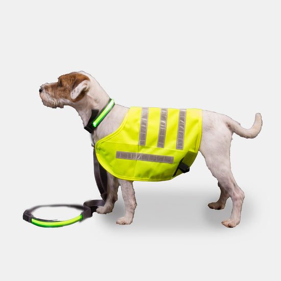 Reflective Flashing Dog Lead Yellow
