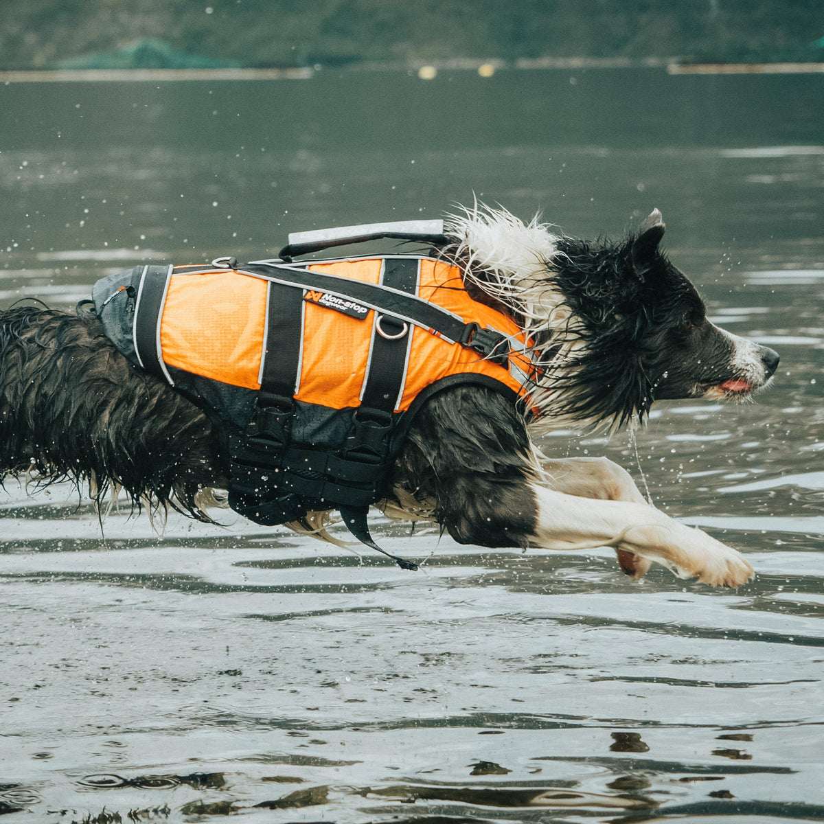 Safe Life Jacket 2.0 Orange/Black Size 3/4