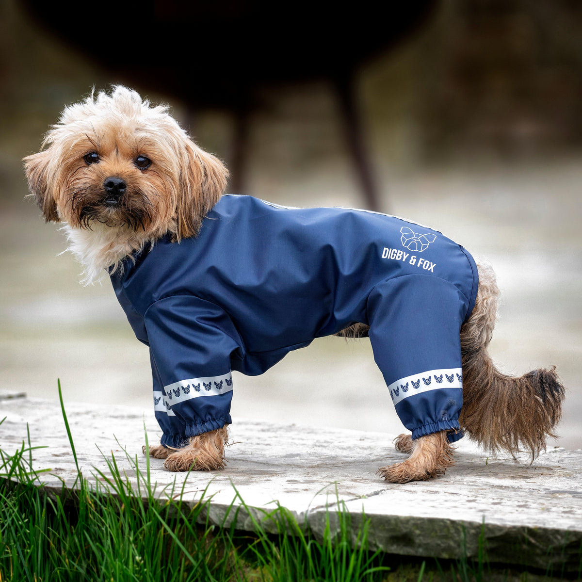 Cover-All Dog Coat Navy