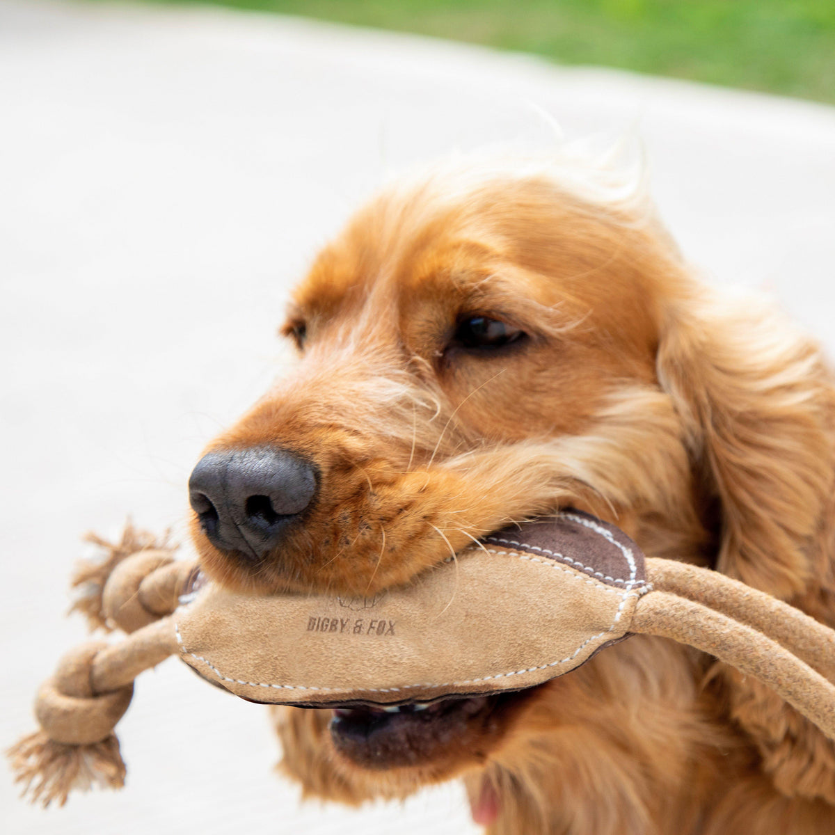 Leather Rugby Ball Toy
