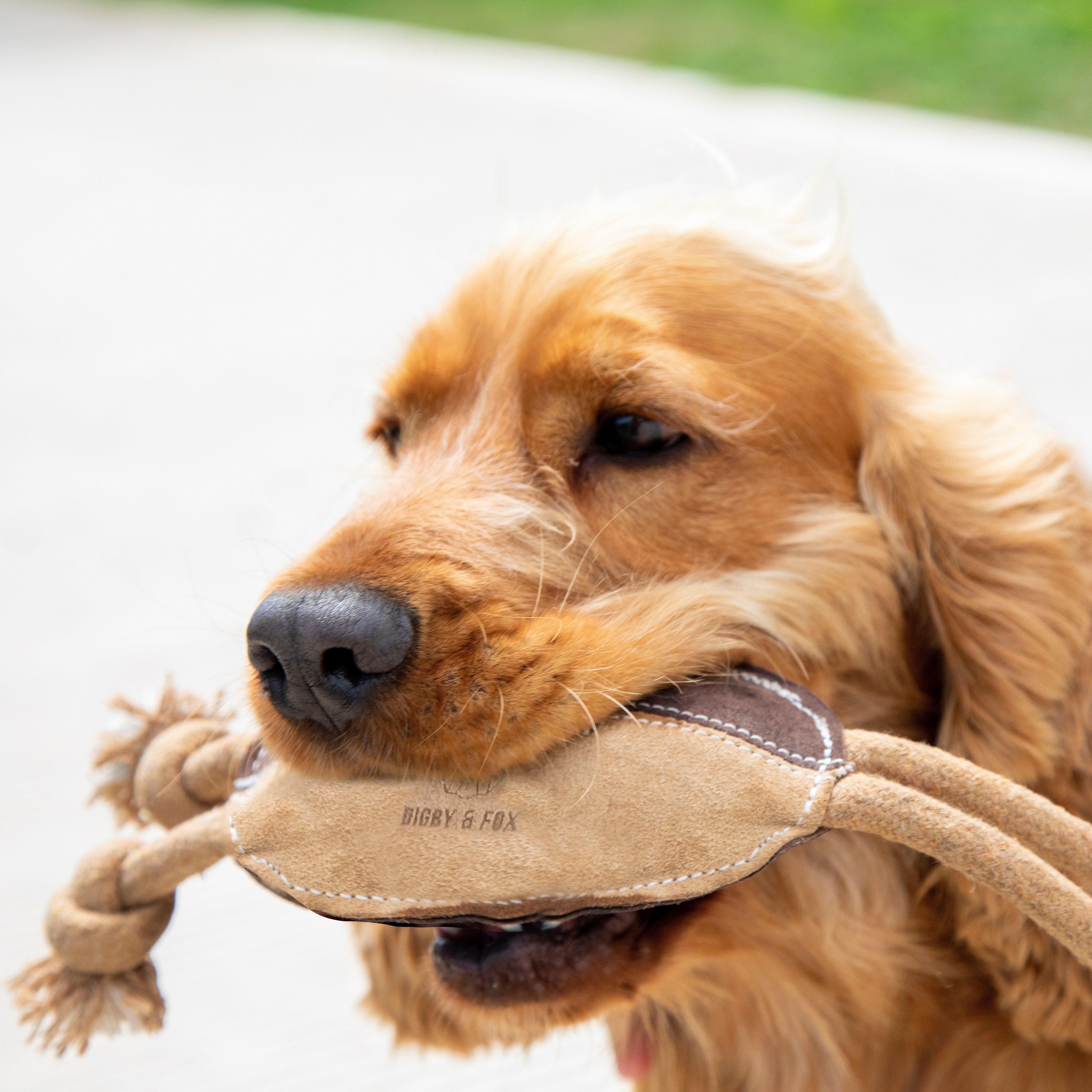 Leather Rugby Ball Toy