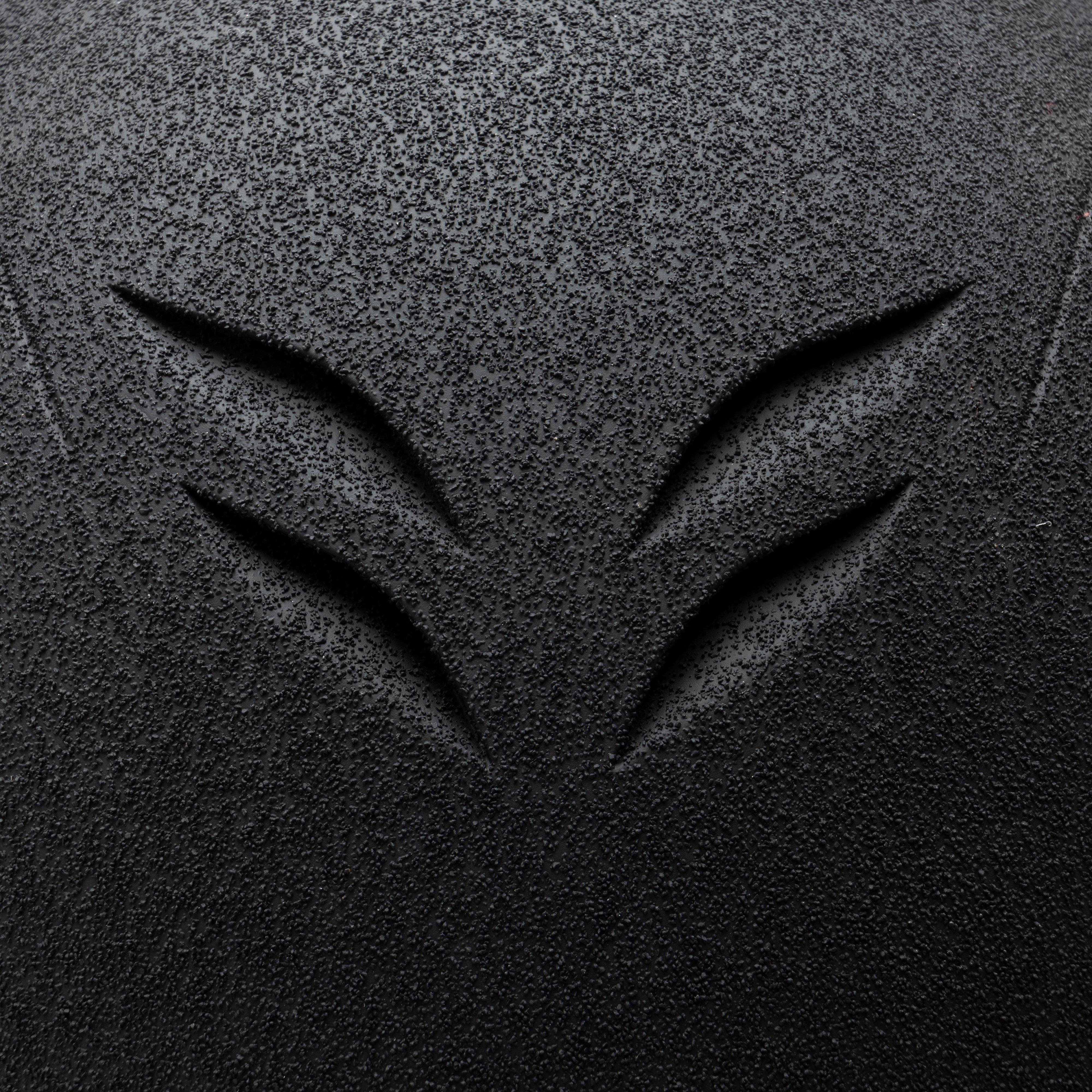 Adult Phoenix Jockey Skull