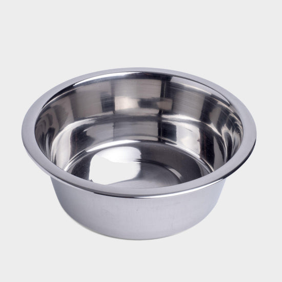 Stainless Steel Bowl