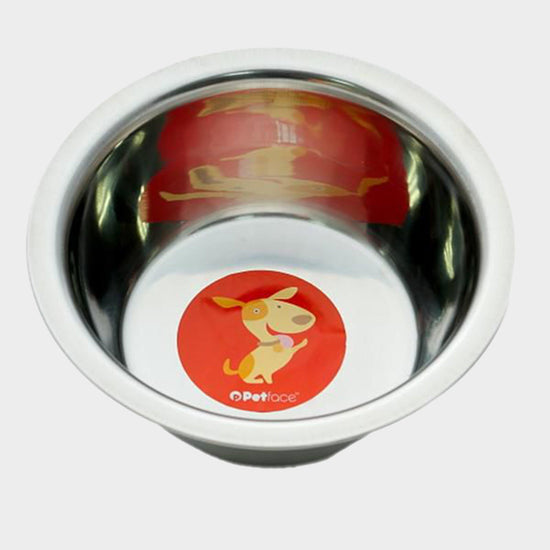 Stainless Steel Bowl