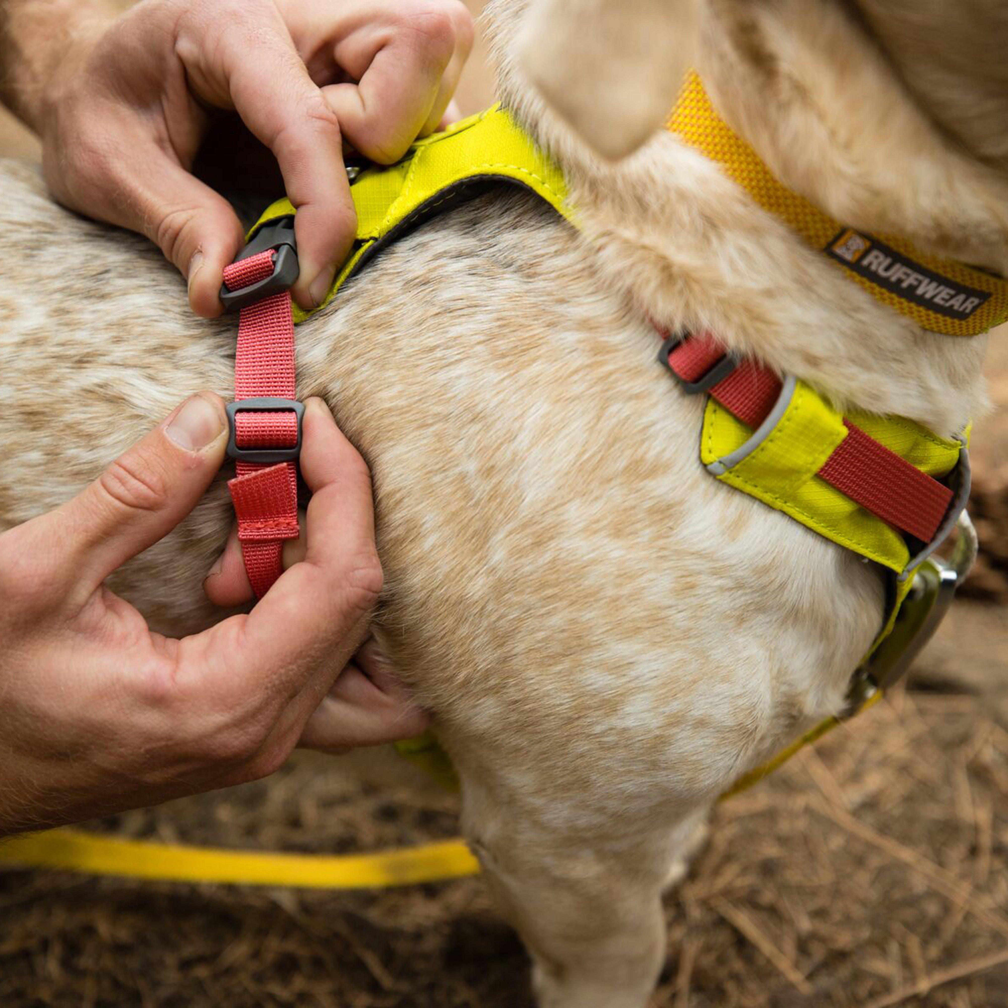 Hi & Light™ Lightweight Dog Harness Lichen Green - Medium