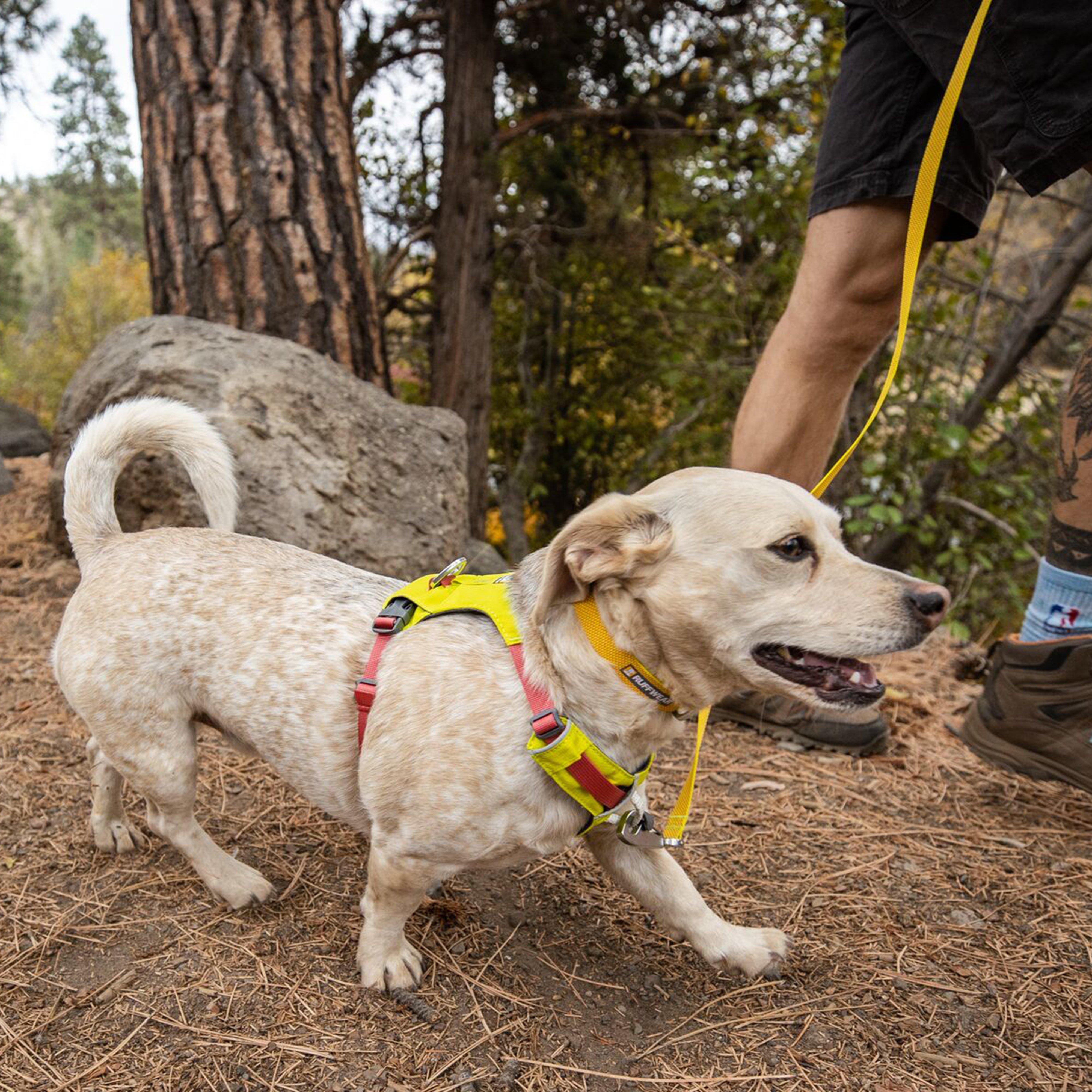Hi & Light™ Lightweight Dog Harness Lichen Green S
