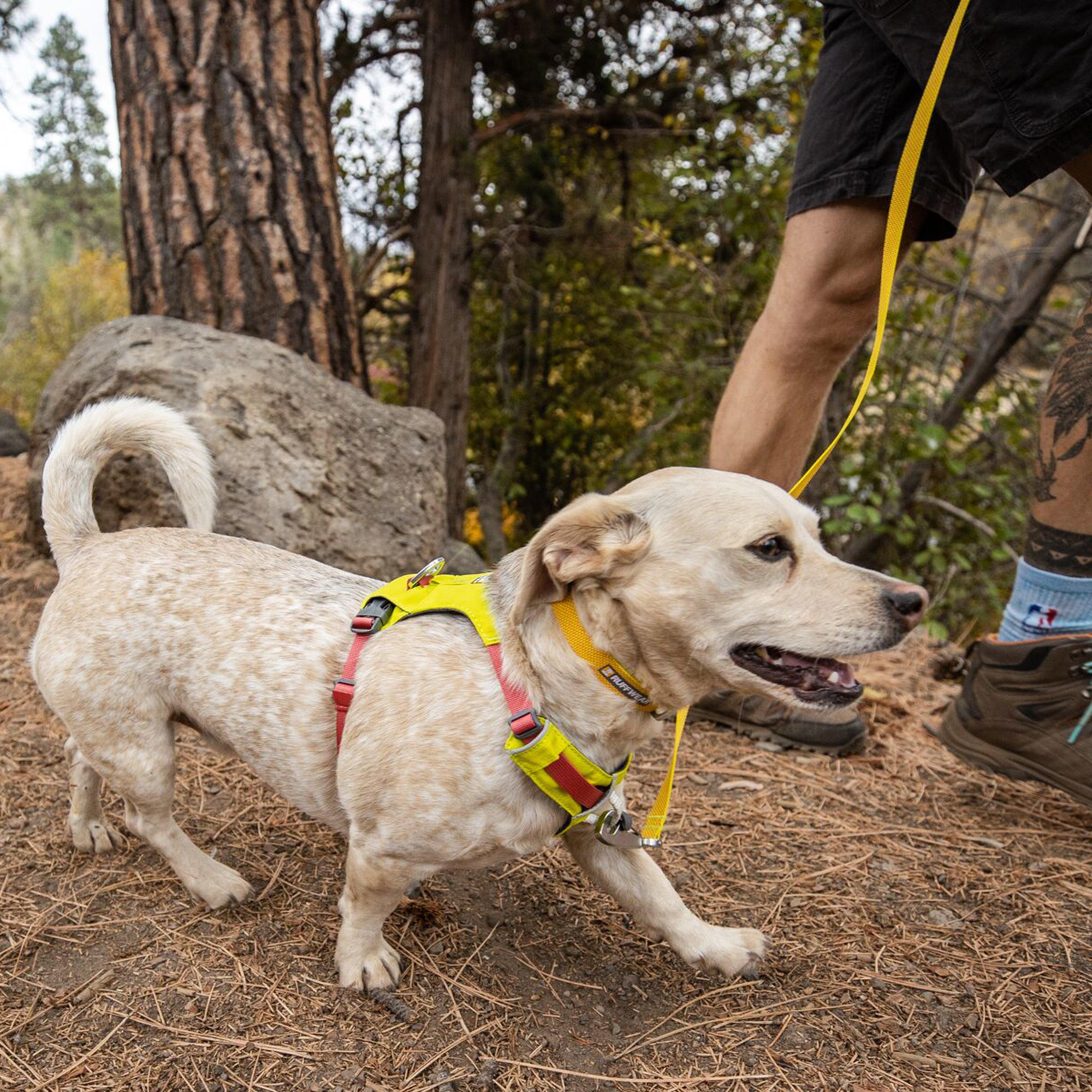 Hi & Light™ Lightweight Dog Harness Lichen Green