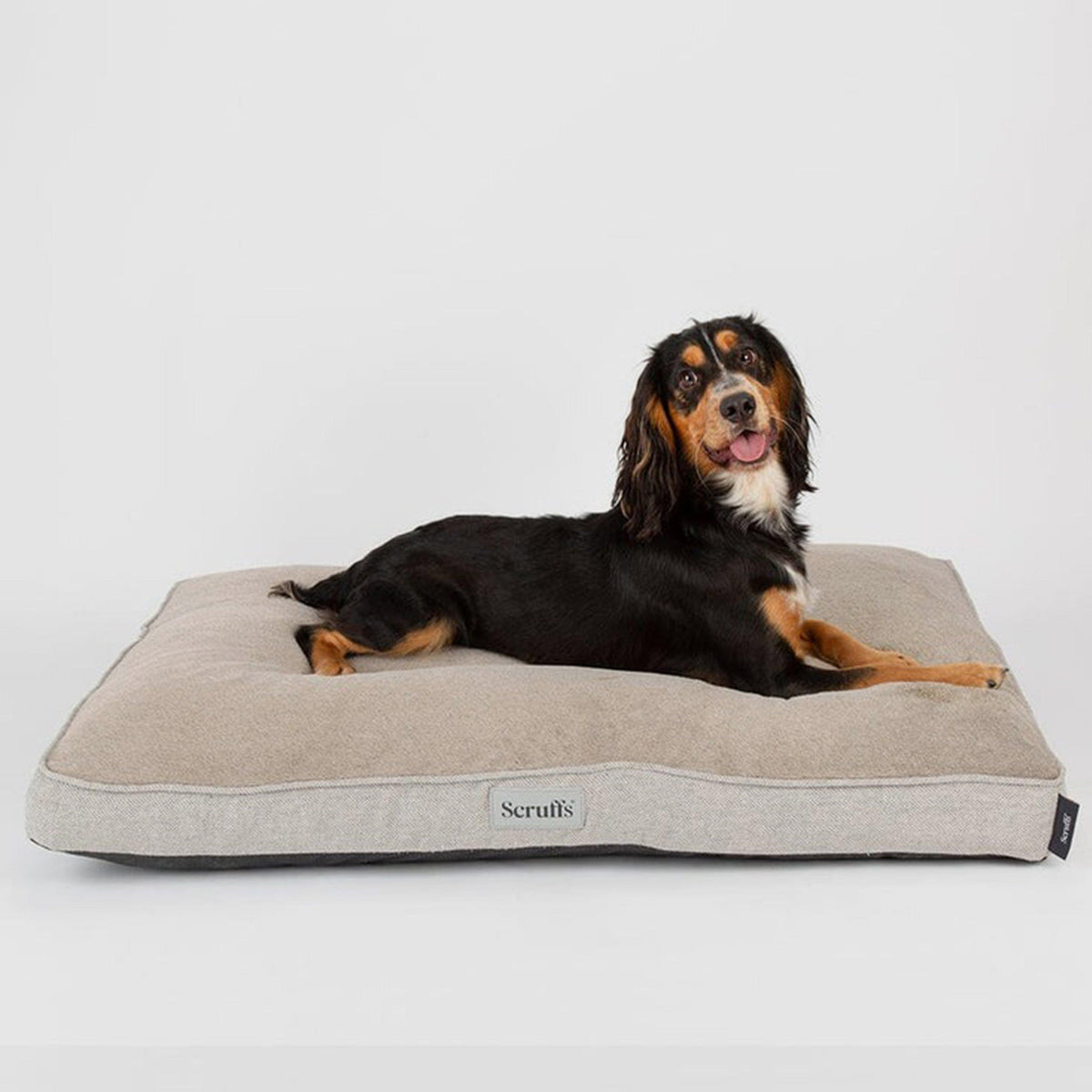 Harvard Memory Foam Mattress Pearl Grey L