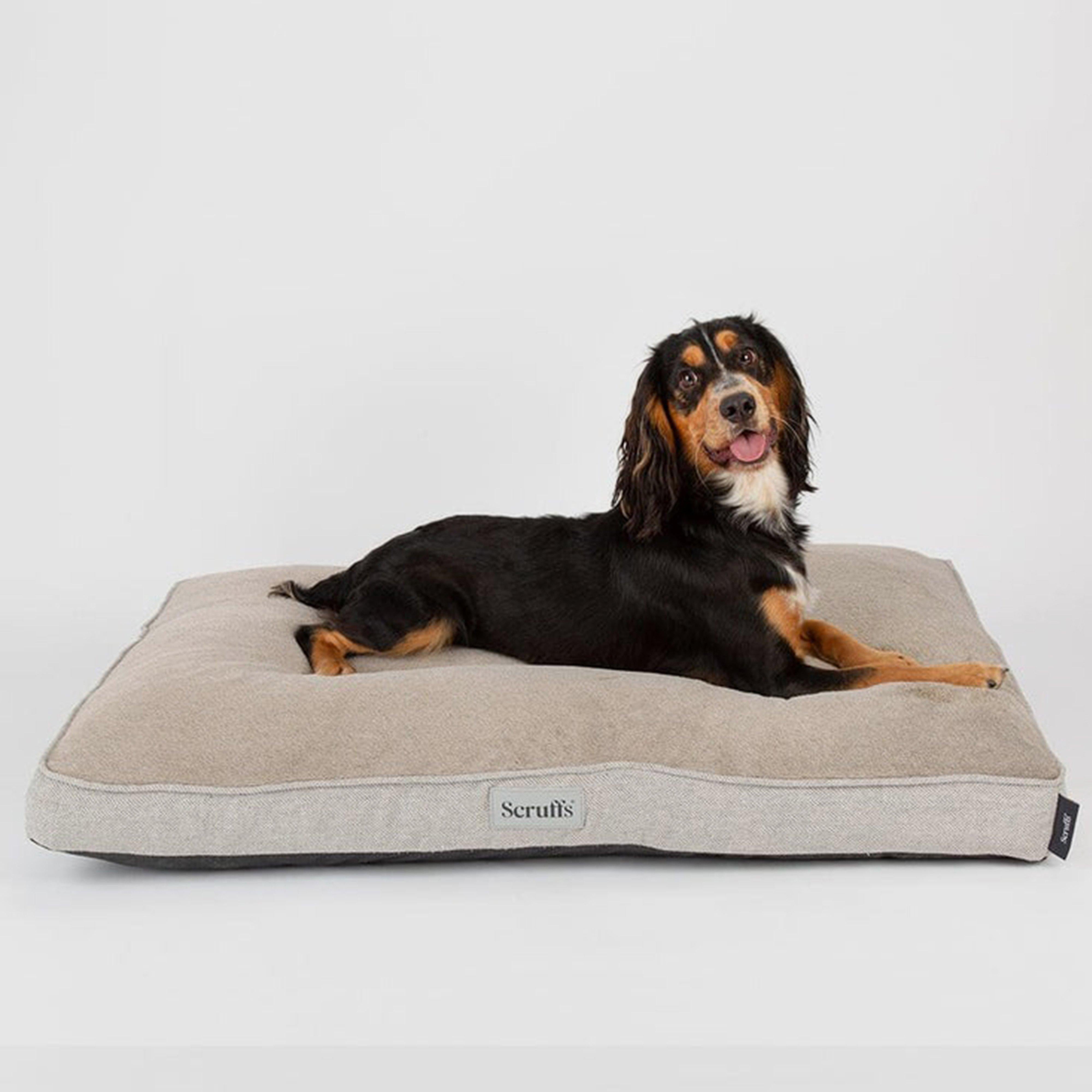 Harvard Memory Foam Mattress Pearl Grey L