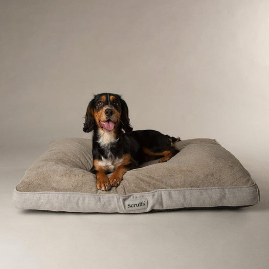 Harvard Memory Foam Mattress Pearl Grey L