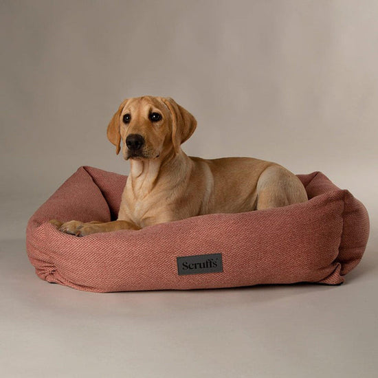 Seattle Box Bed Coral Pink XL