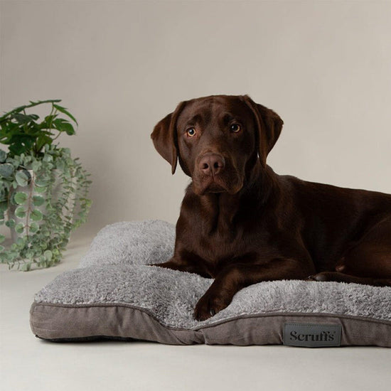 Cosy Mattress Grey M