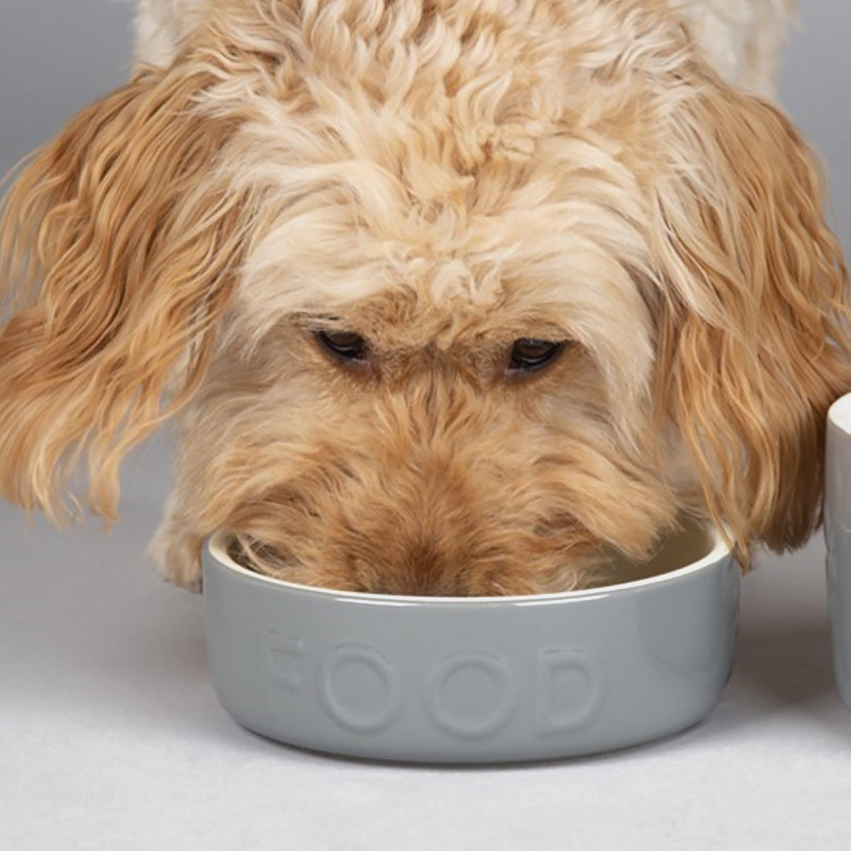 Classic Food Bowl Grey 15cm