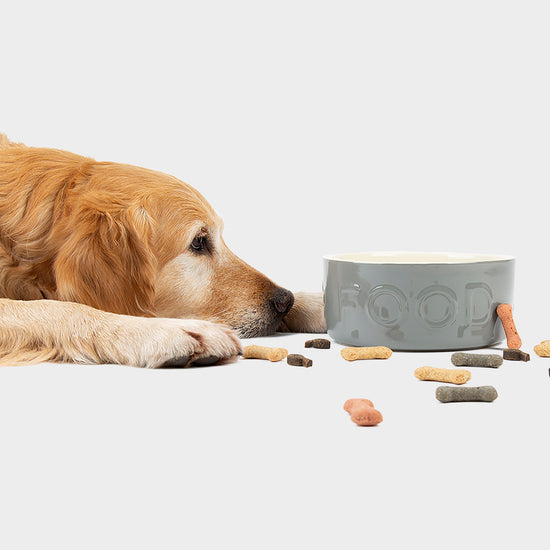 Classic Food Bowl Grey 19cm