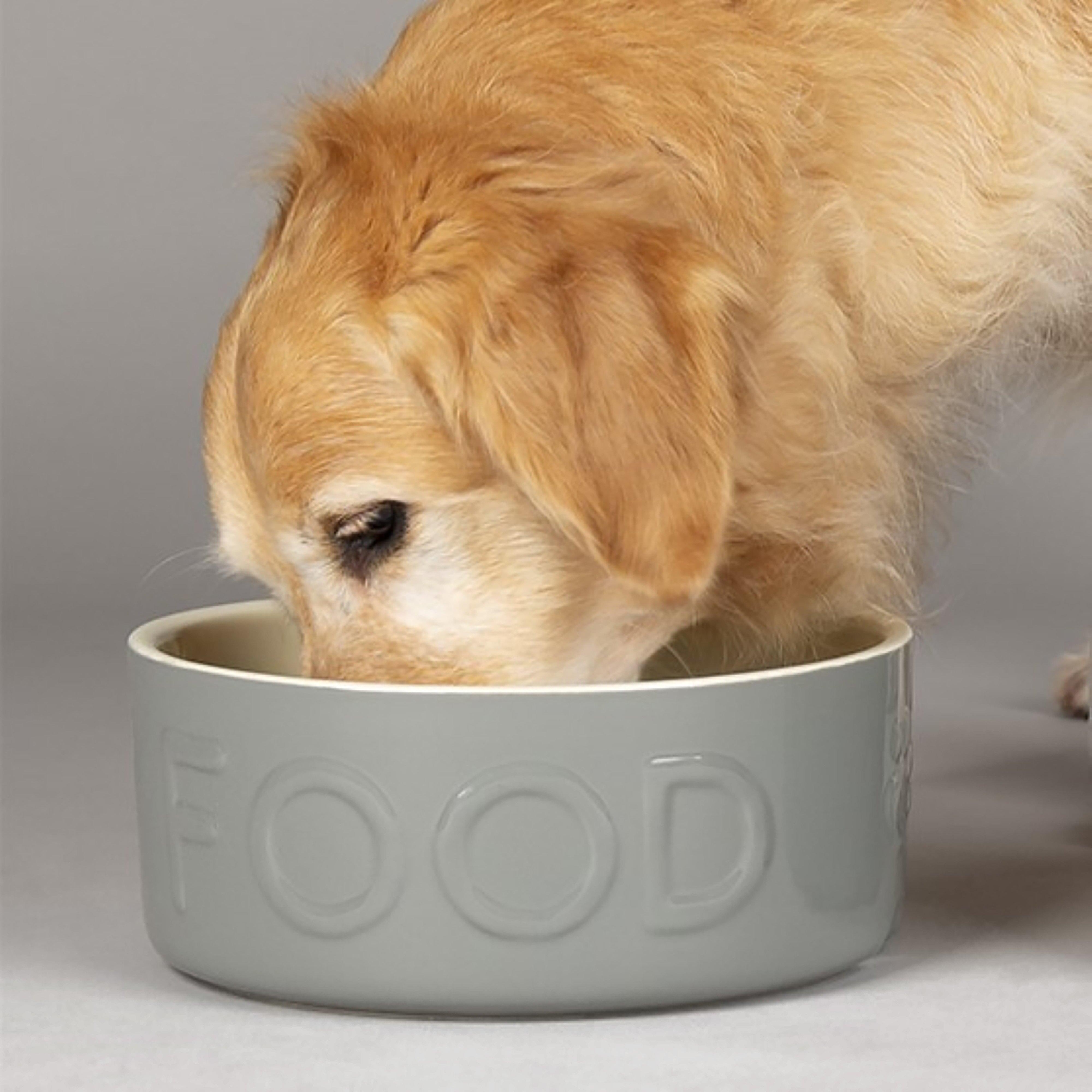 Classic Food Bowl Grey 25cm