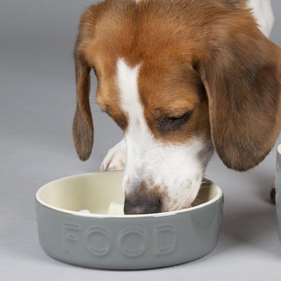 Classic Dog Slow Feeder Bowl Grey 16cm