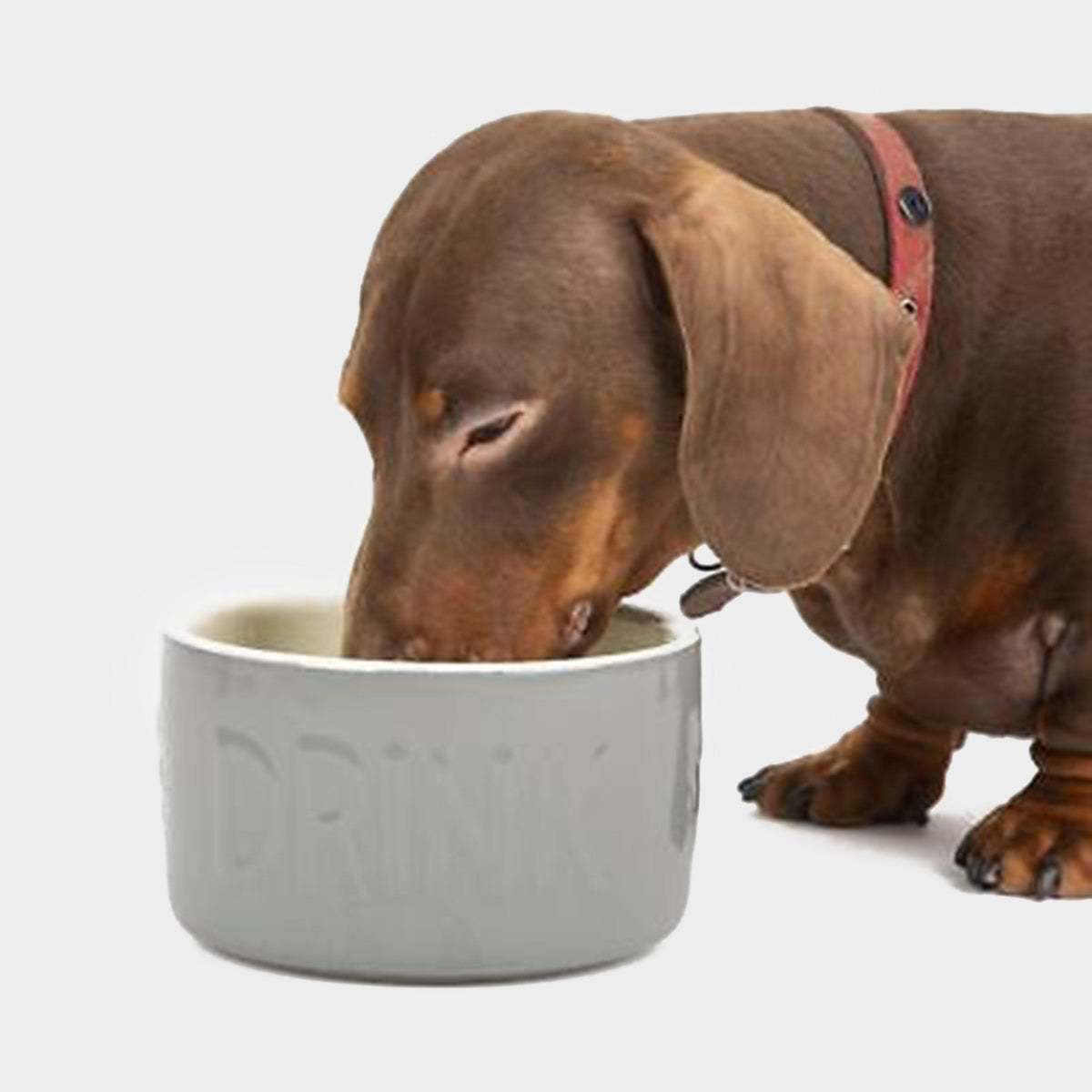 Classic Water Bowl Grey 15cm